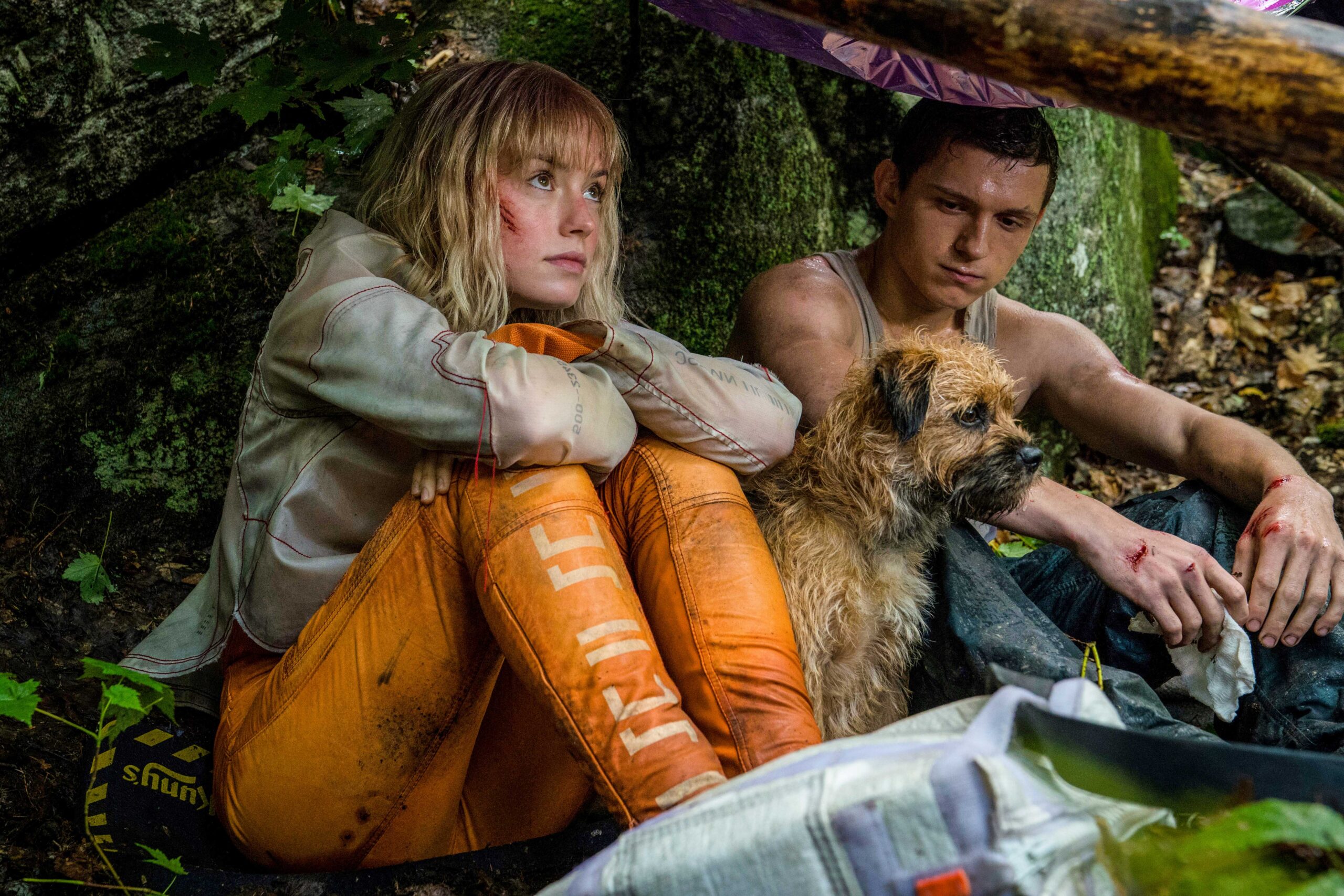 Daisy Ridley and Tom Holland in Chaos Walking