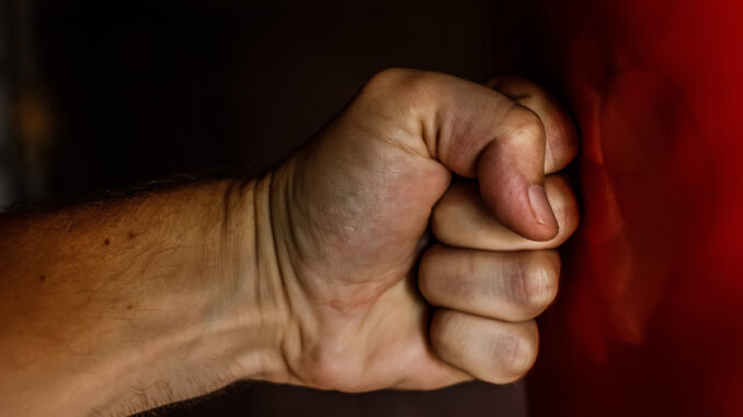 fist